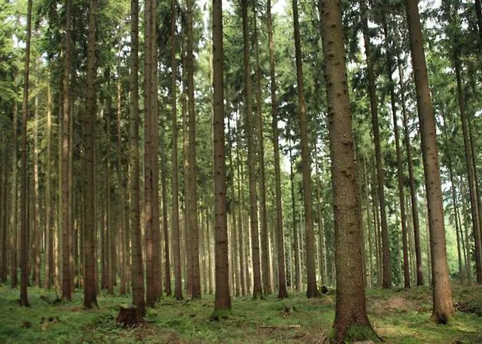 Bei Simone Mit Sauna Dom wakacyjny